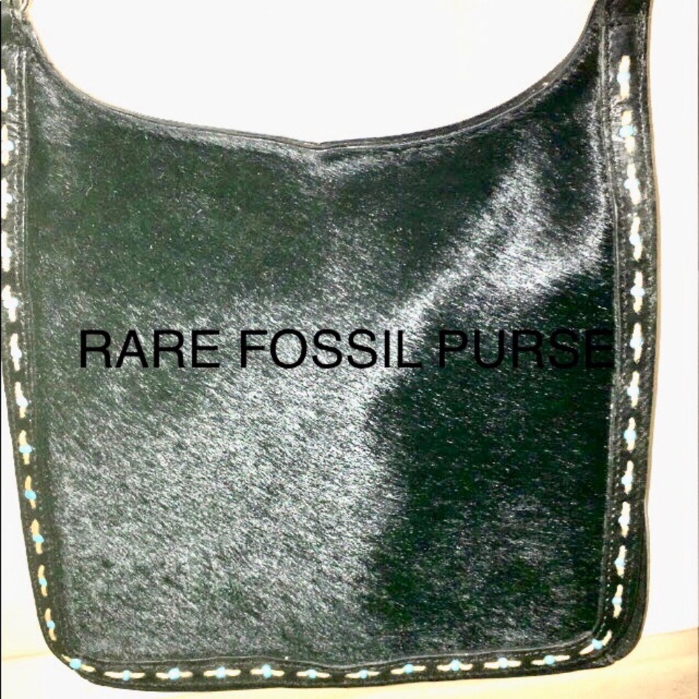 RARE!AND UNIQUE FOSSIL PURSE